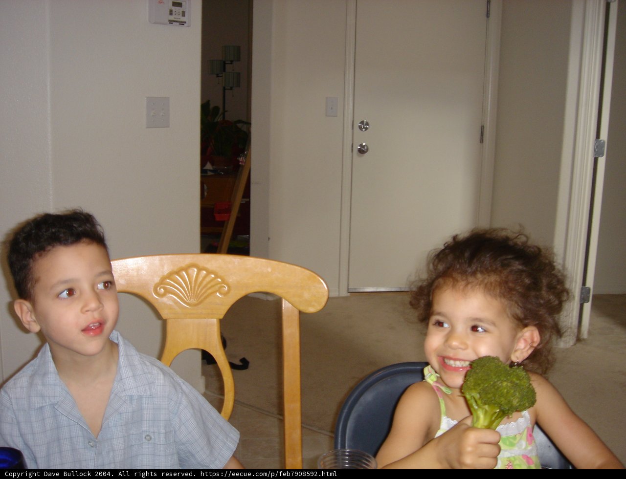 Broccoli Buddies