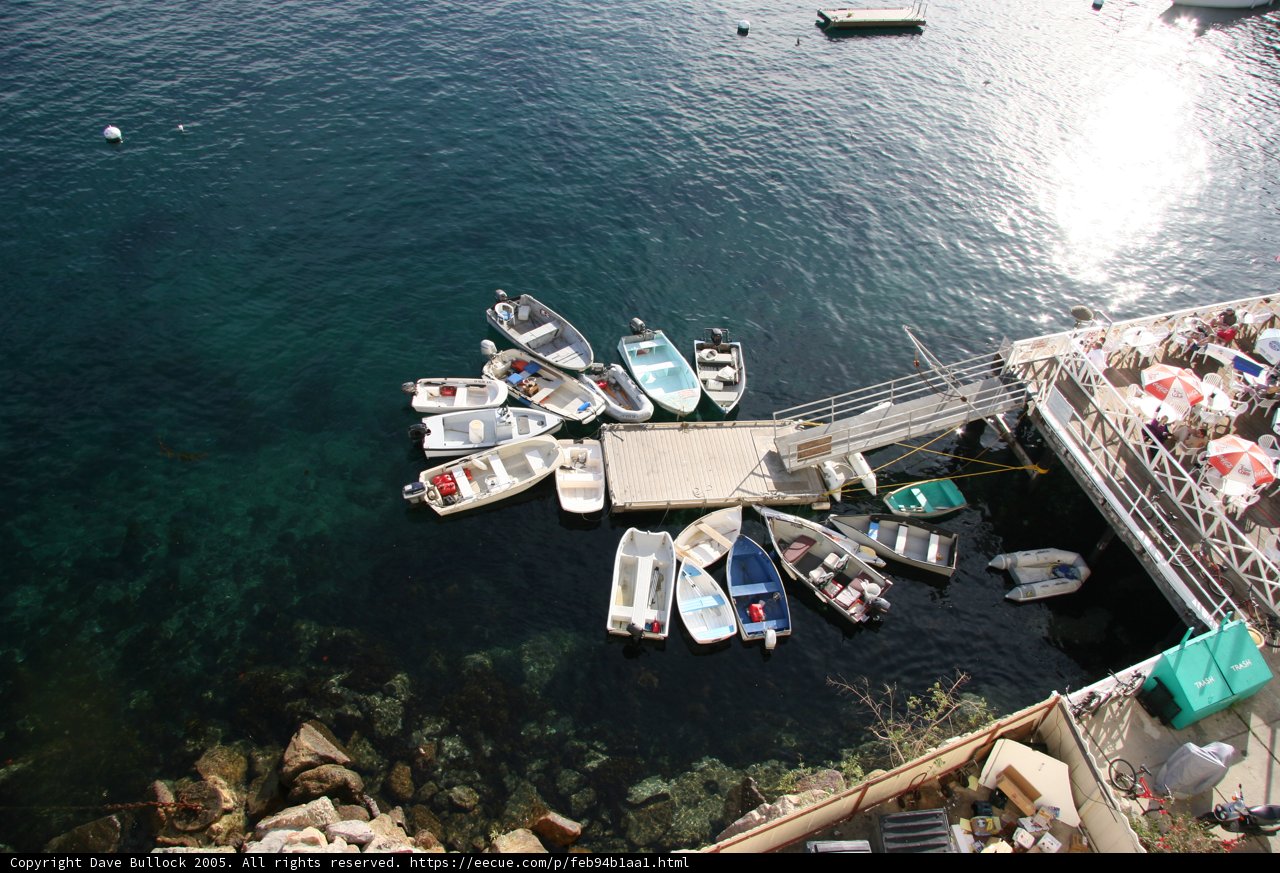 The Bustling Harbor