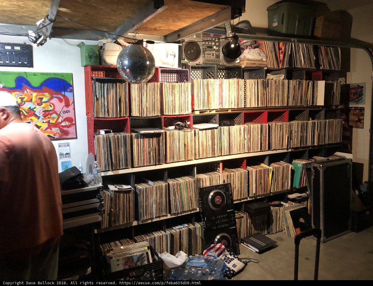 The Vinyl Maestro
