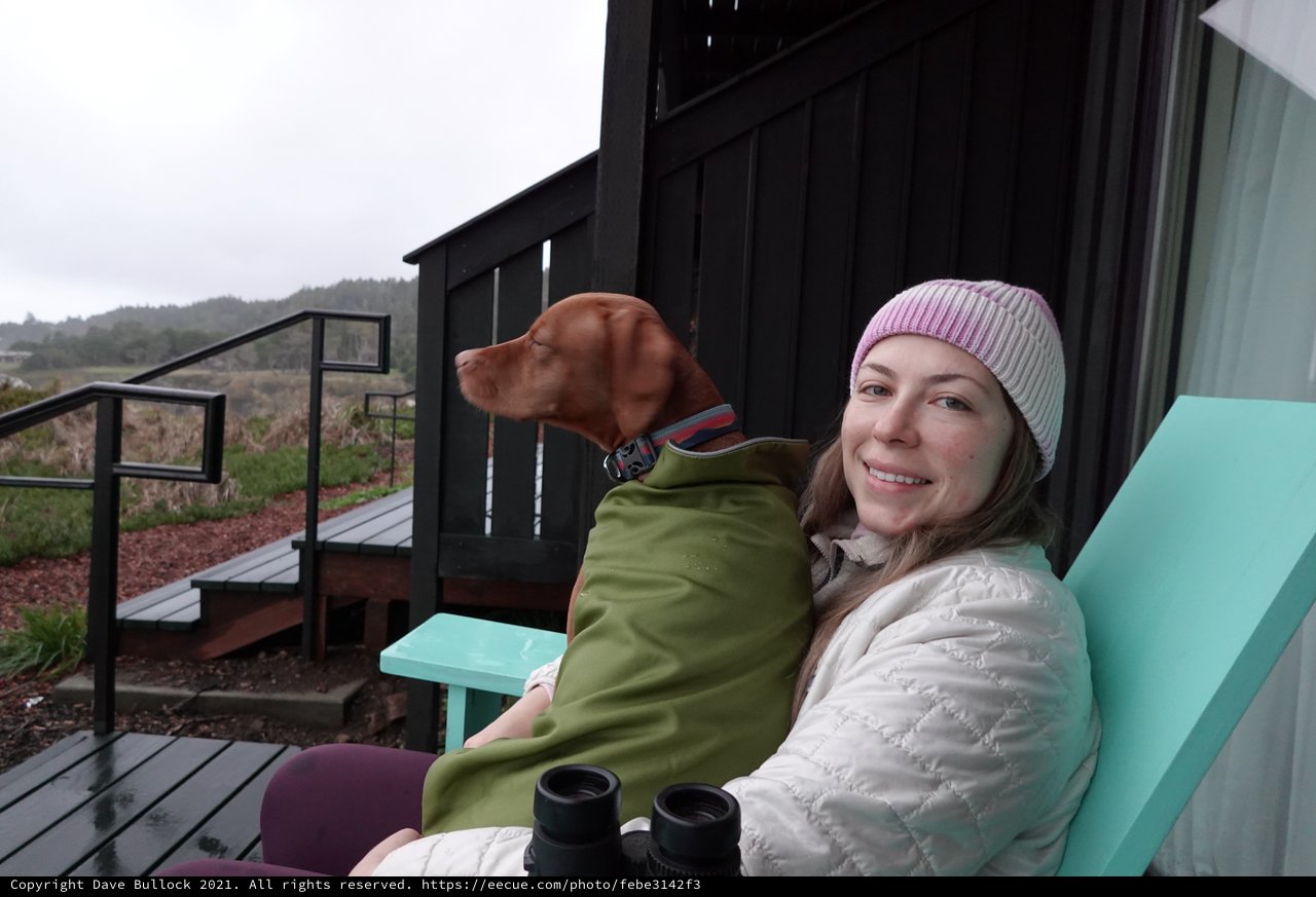 Woman and Dog Relaxing on Coastal Deck