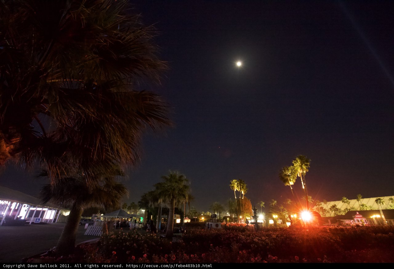 Moonlit Paradise
