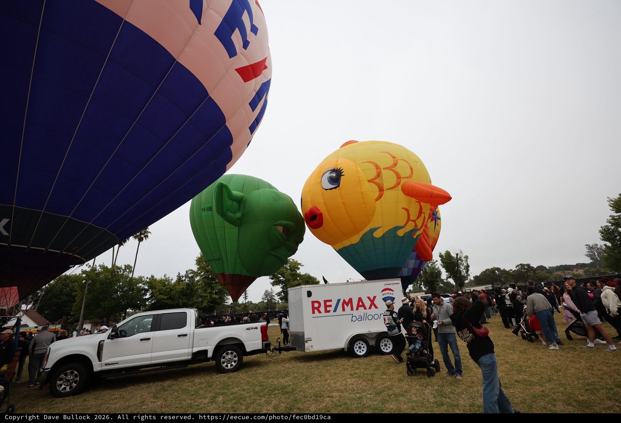 Whimsical Hot Air Balloons Dazzle Sonoma County Classic