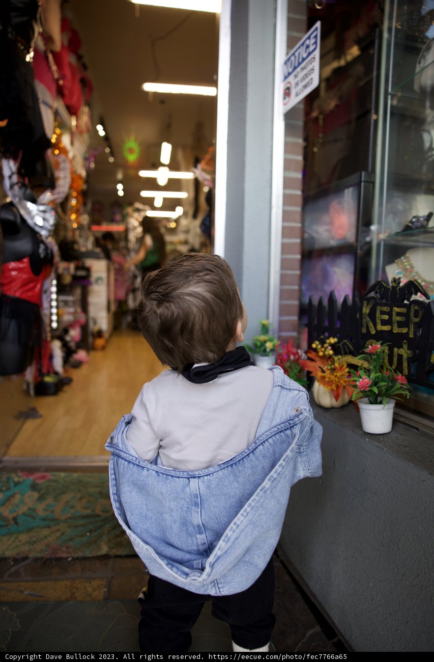 A Boy's Fascination with Nature