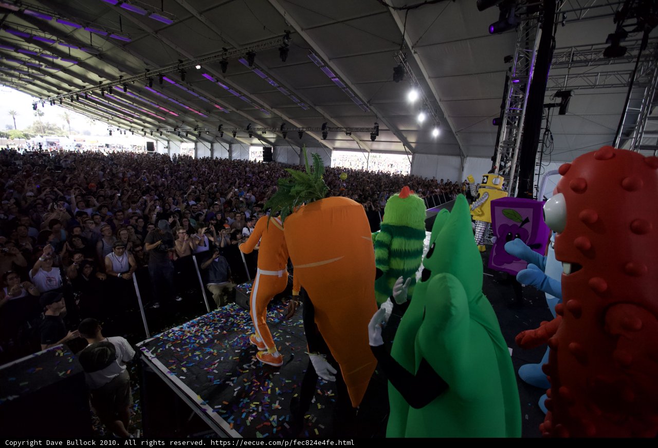 The Colorful Crowd of Cochella