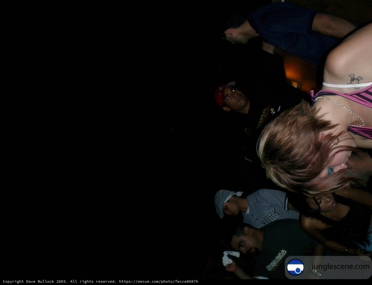Lady in Pink Rocks the Night