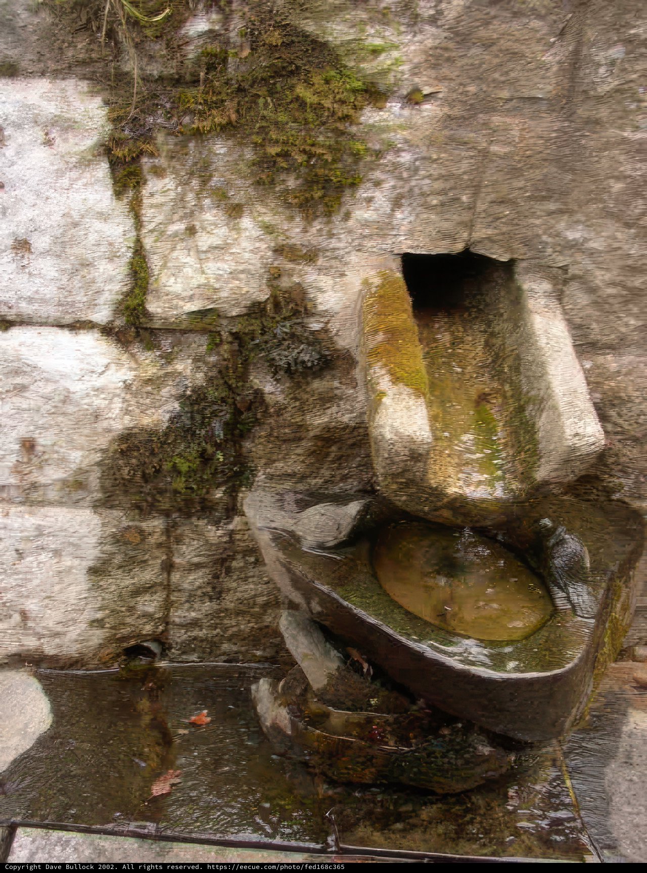 Serene Water Fountain in a Natural Setting