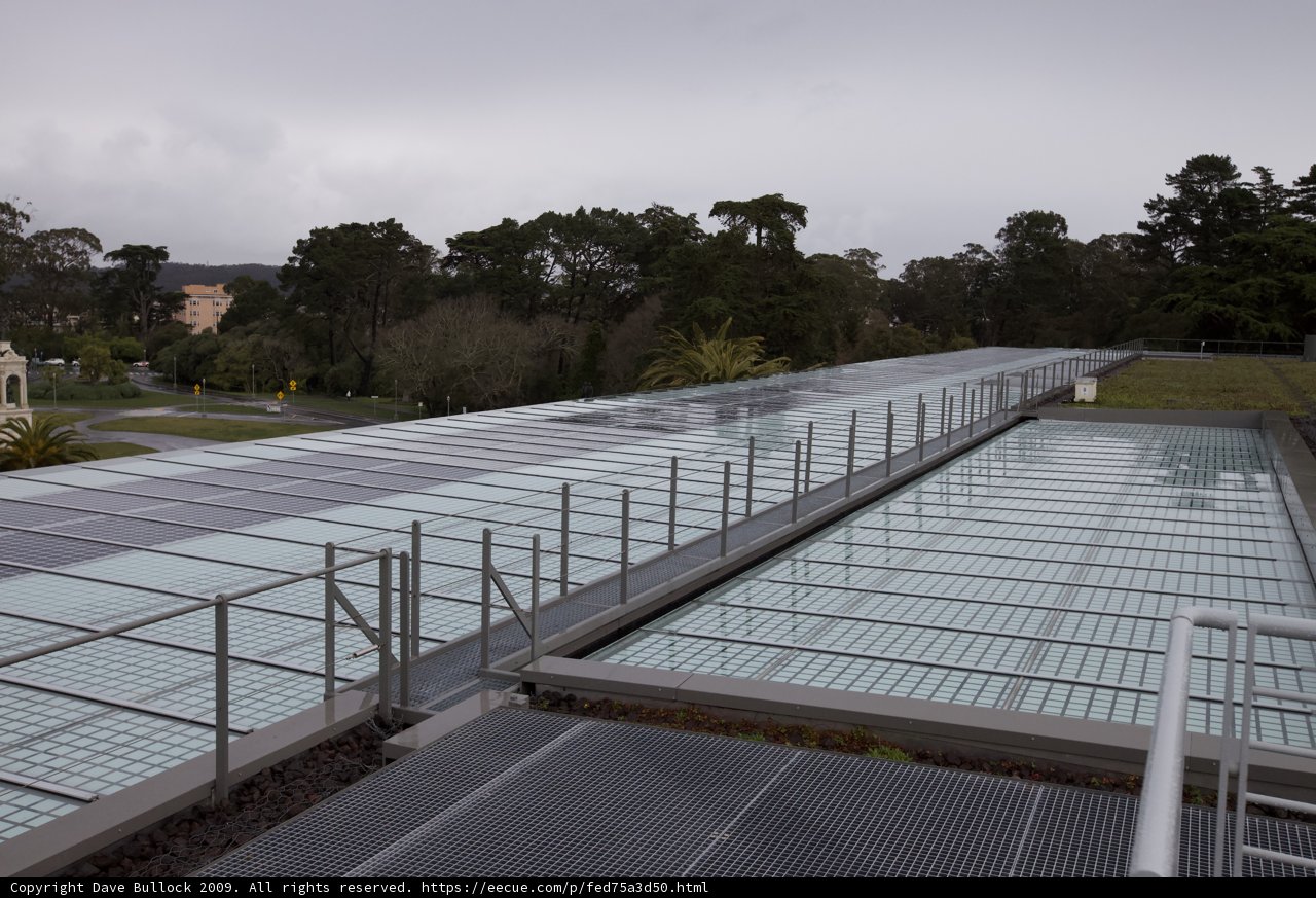 Green Roof Walkway