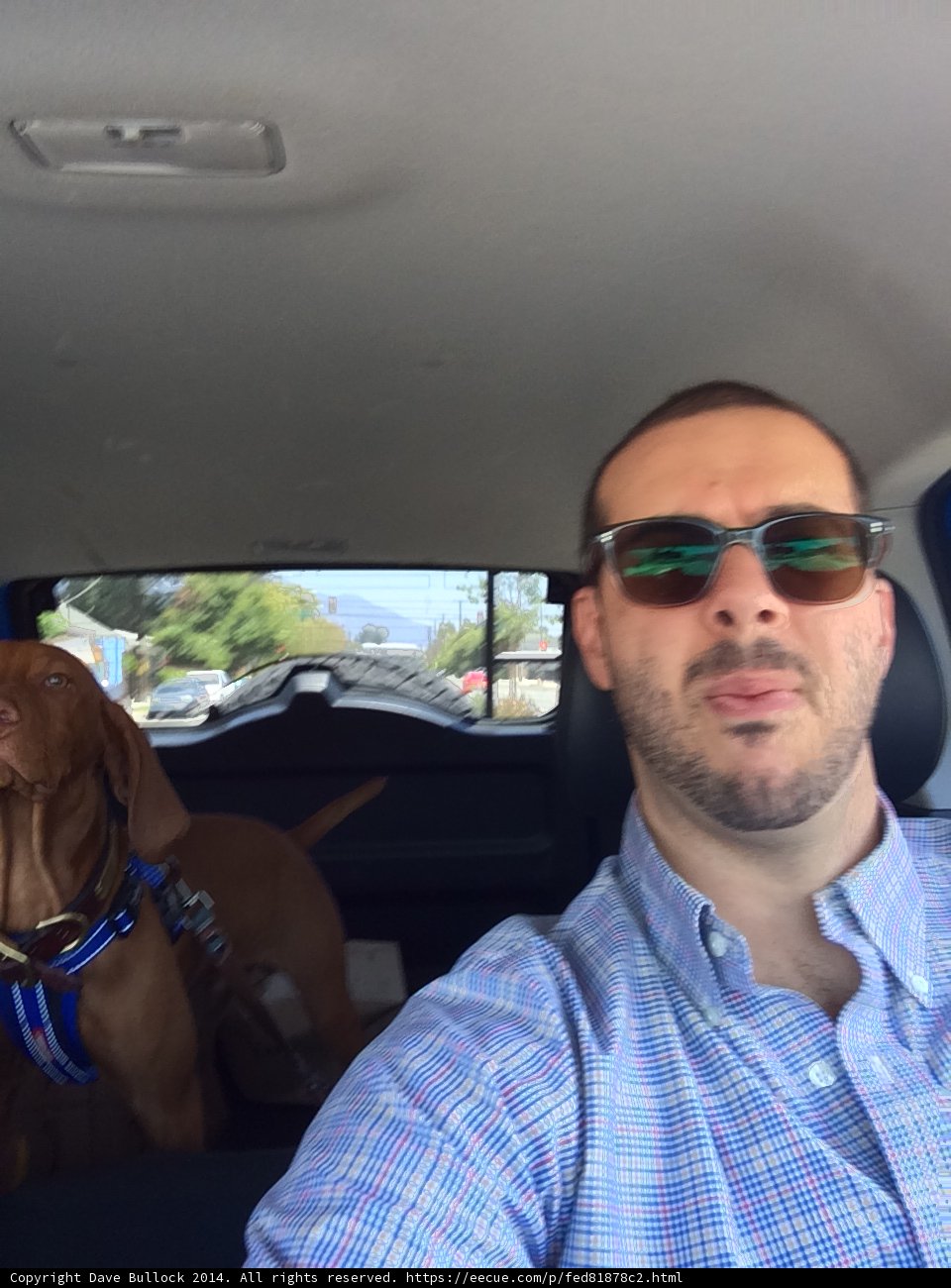 Cruisin' with my furry friend
