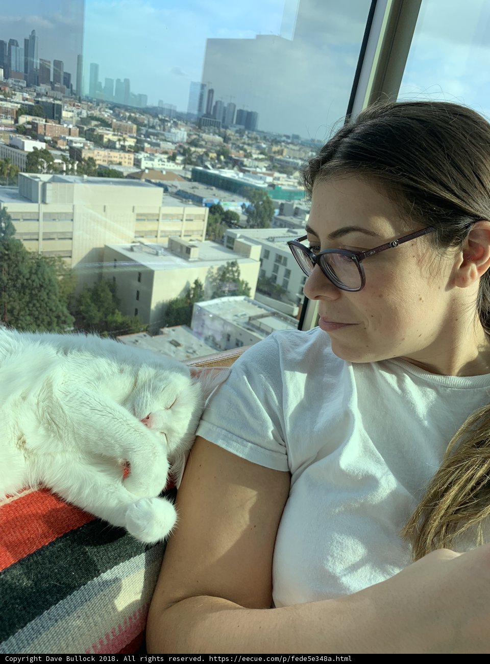 The Cat Lady