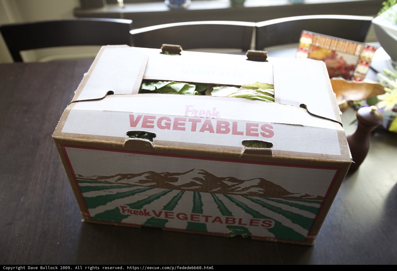 Fresh Harvests from South Central LA