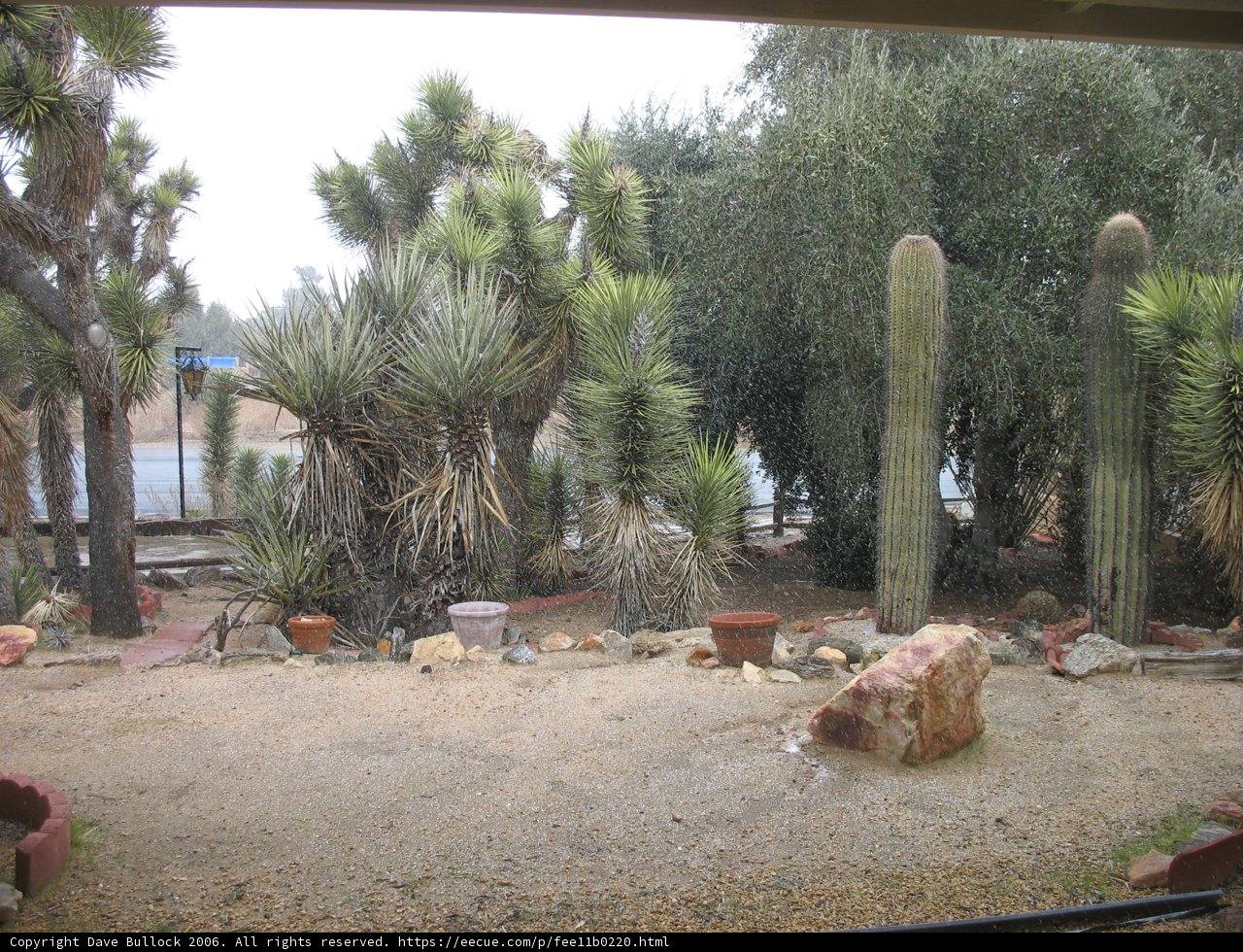 Desert Oasis