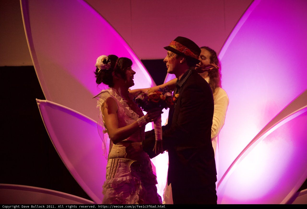 Wedding Dance in Front of a Purple Flower