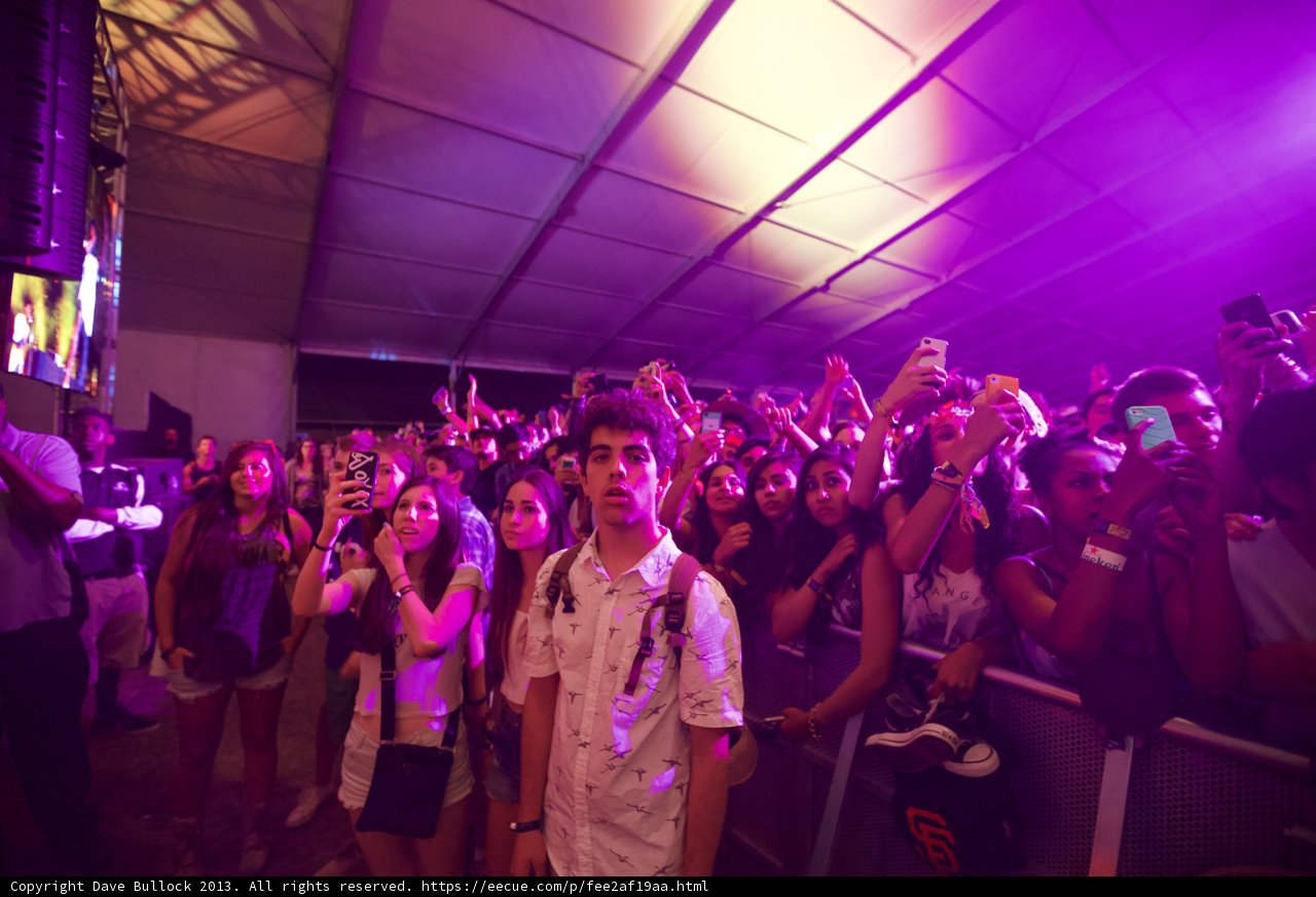 Purple Haze at Coachella
