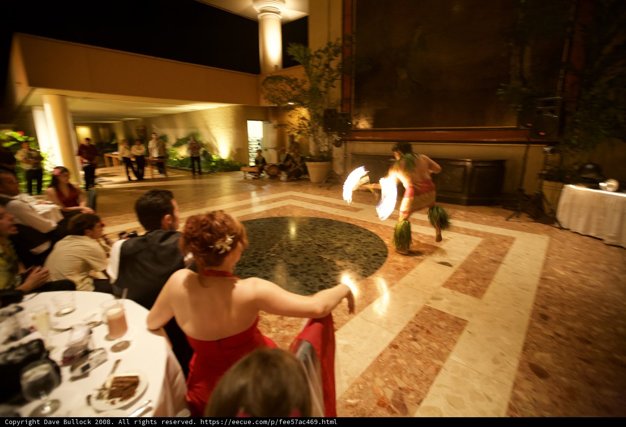Hula Dancing in a Reception Room