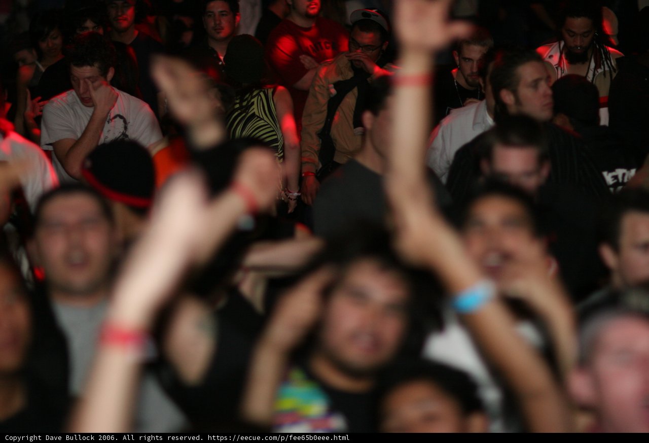 Bass Rush 4 Year 2 Concert Crowd