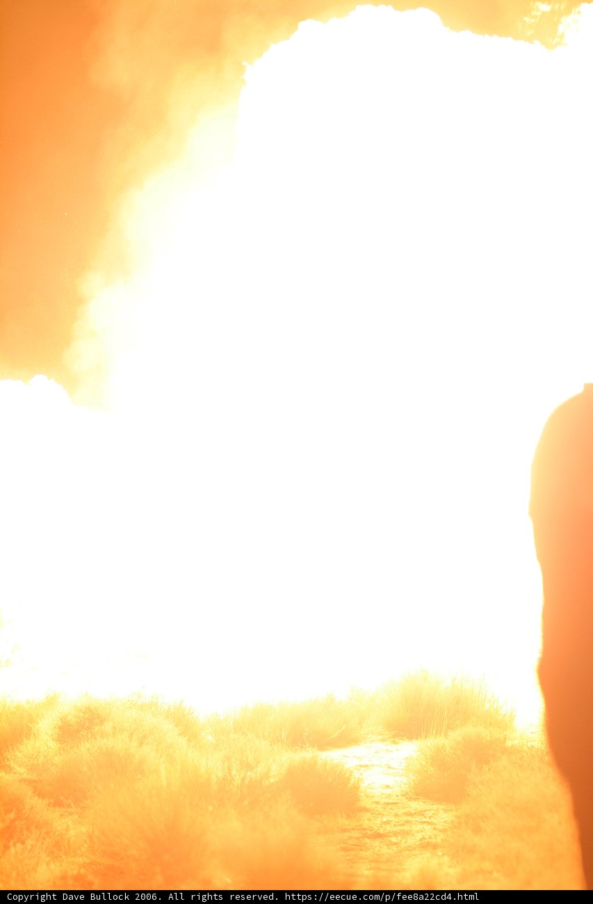 Ablaze in the Desert Sun