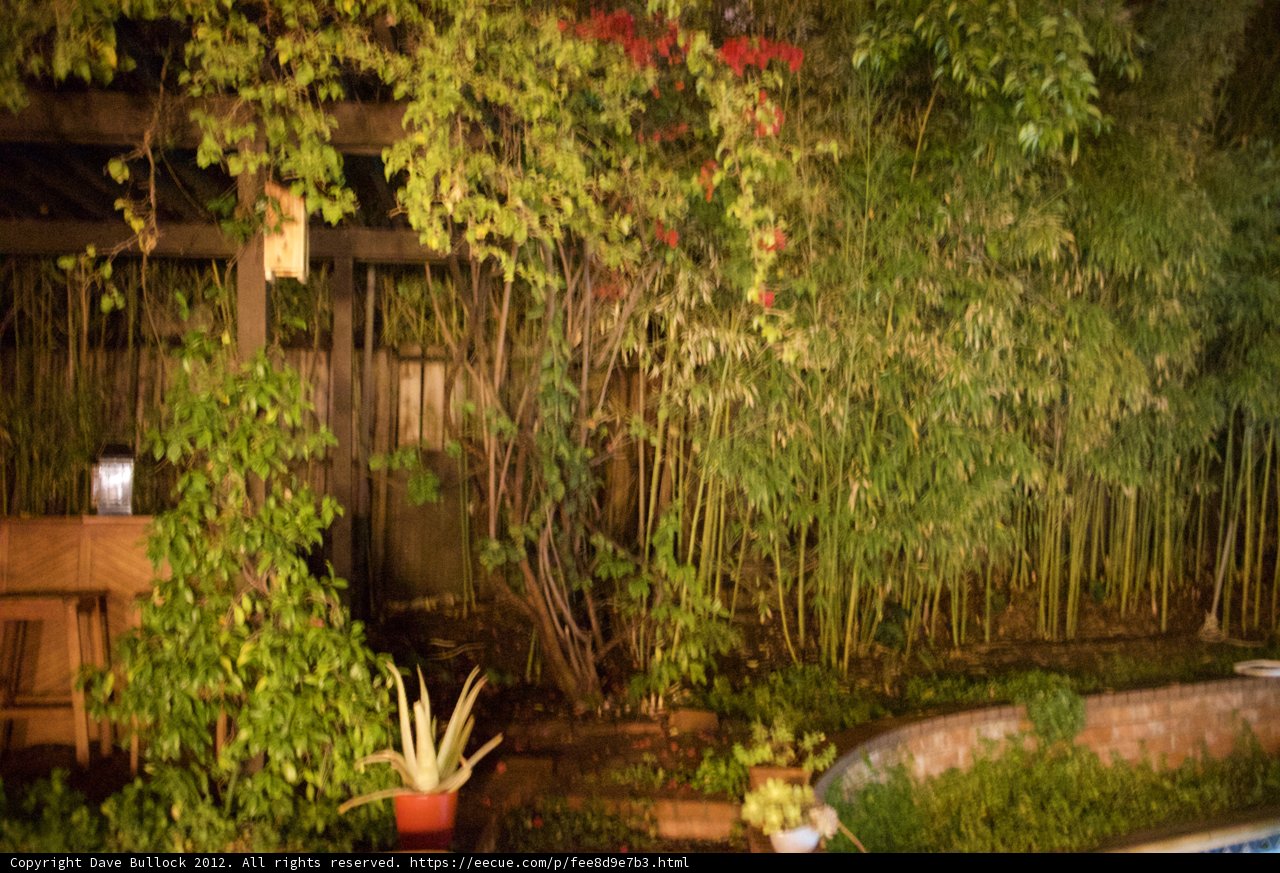 A Serene Escape in the Backyard