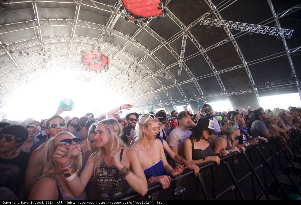 Coachella Crowd Goes Wild