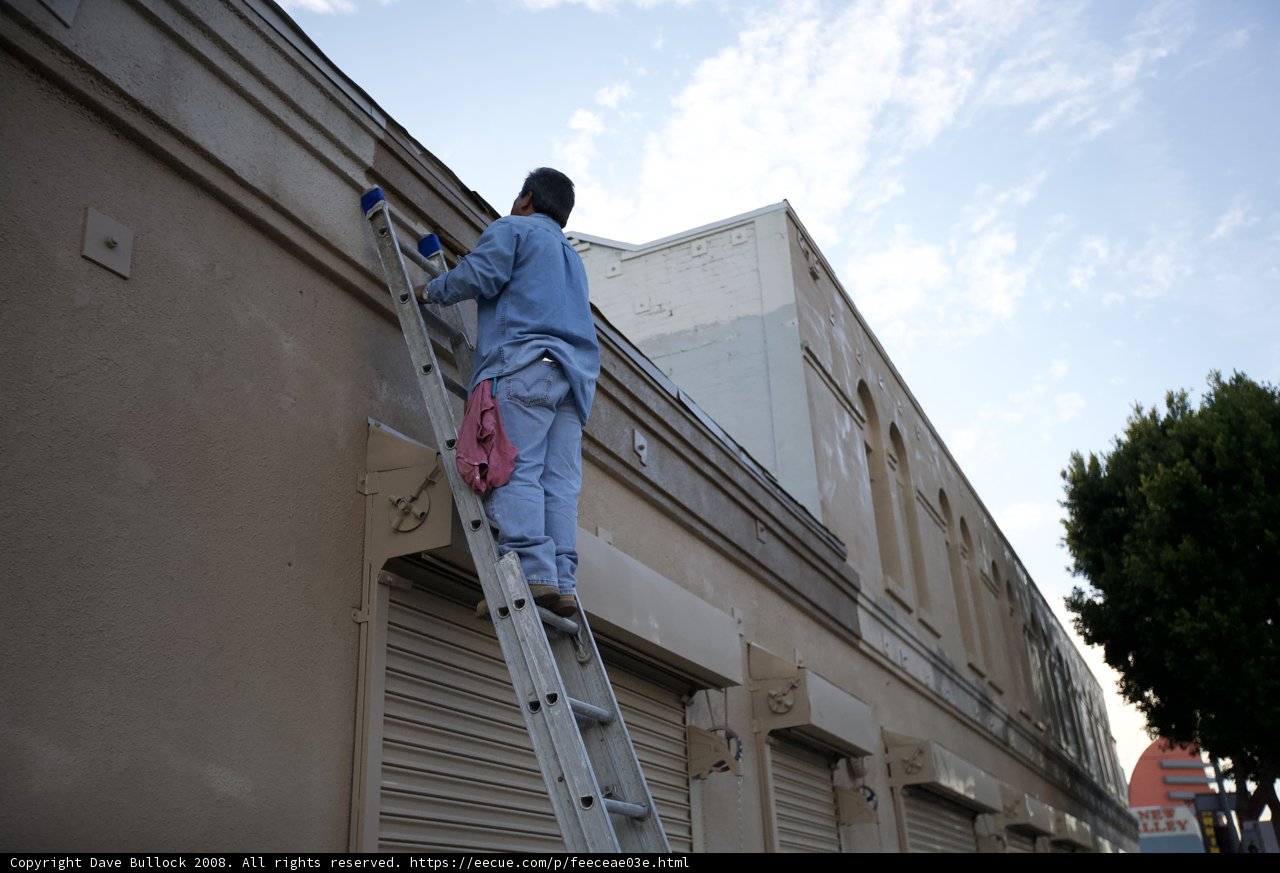 The Skilled Painter