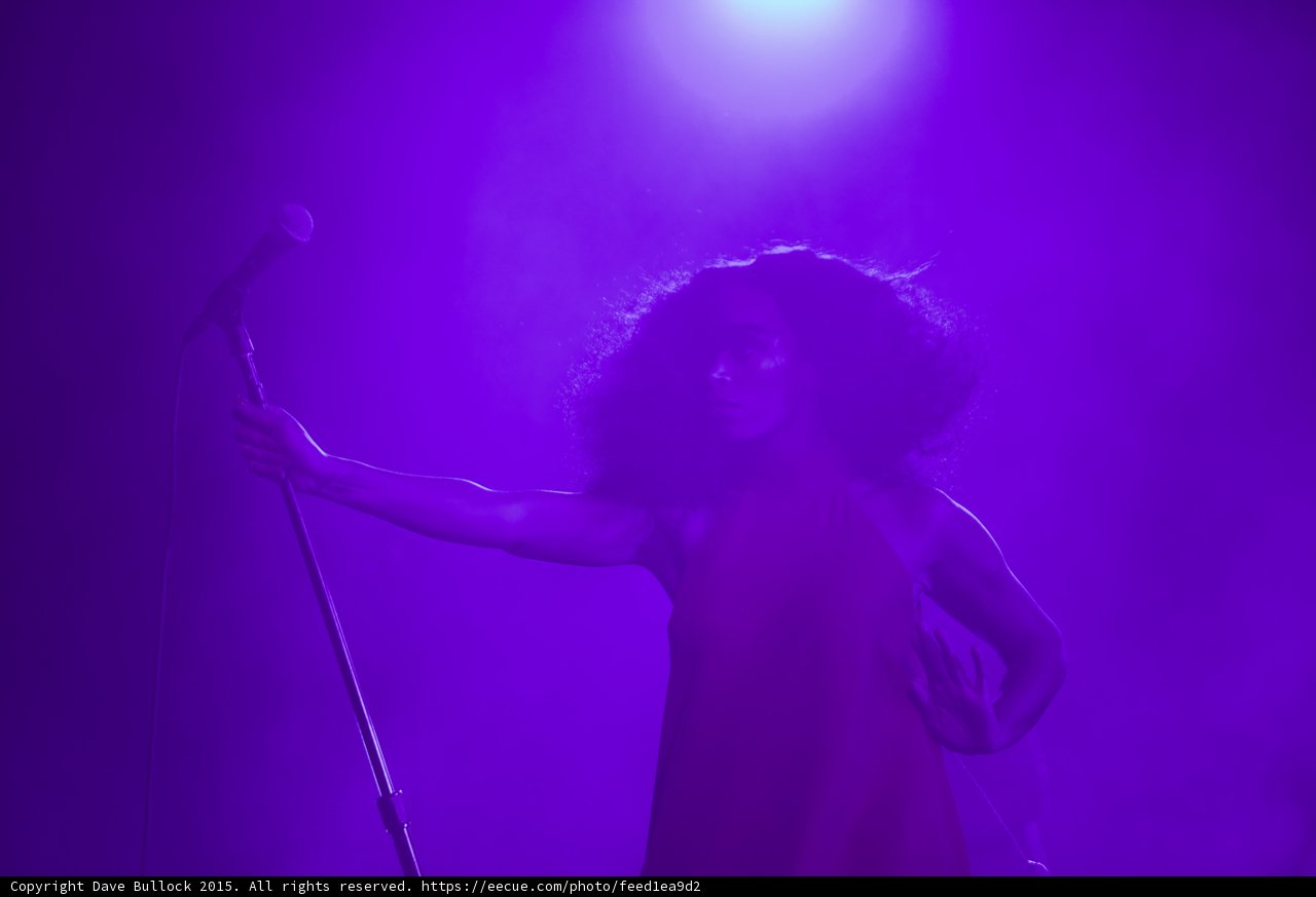 Florence Welch Arms Spread Wide Dramatic Purple