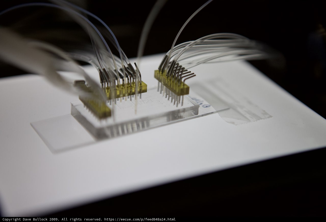 Micro Biochip Device