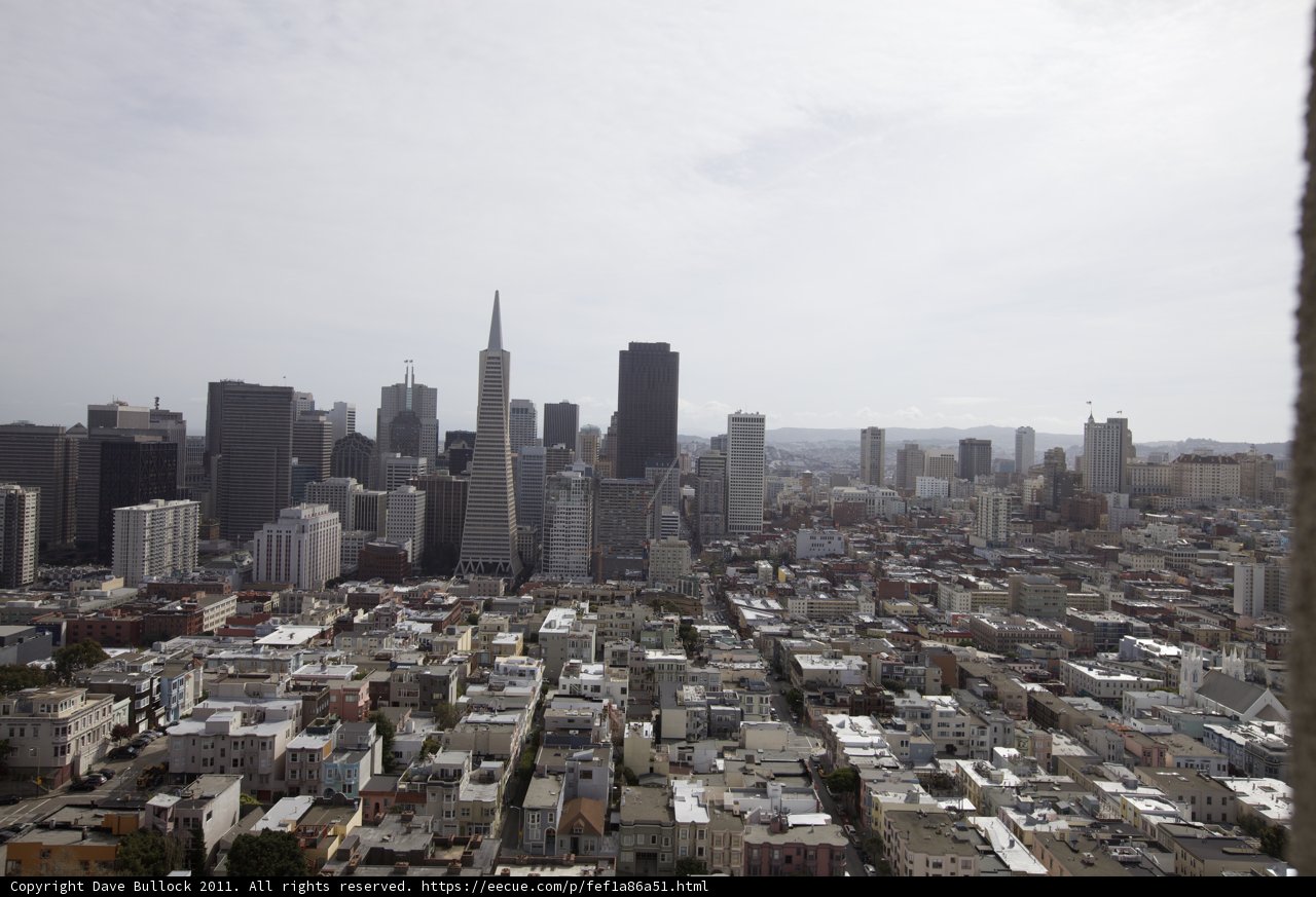 Skyline Splendor