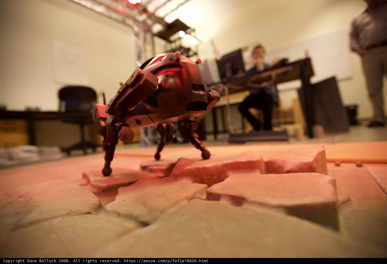 Robot overseeing the indoor setting