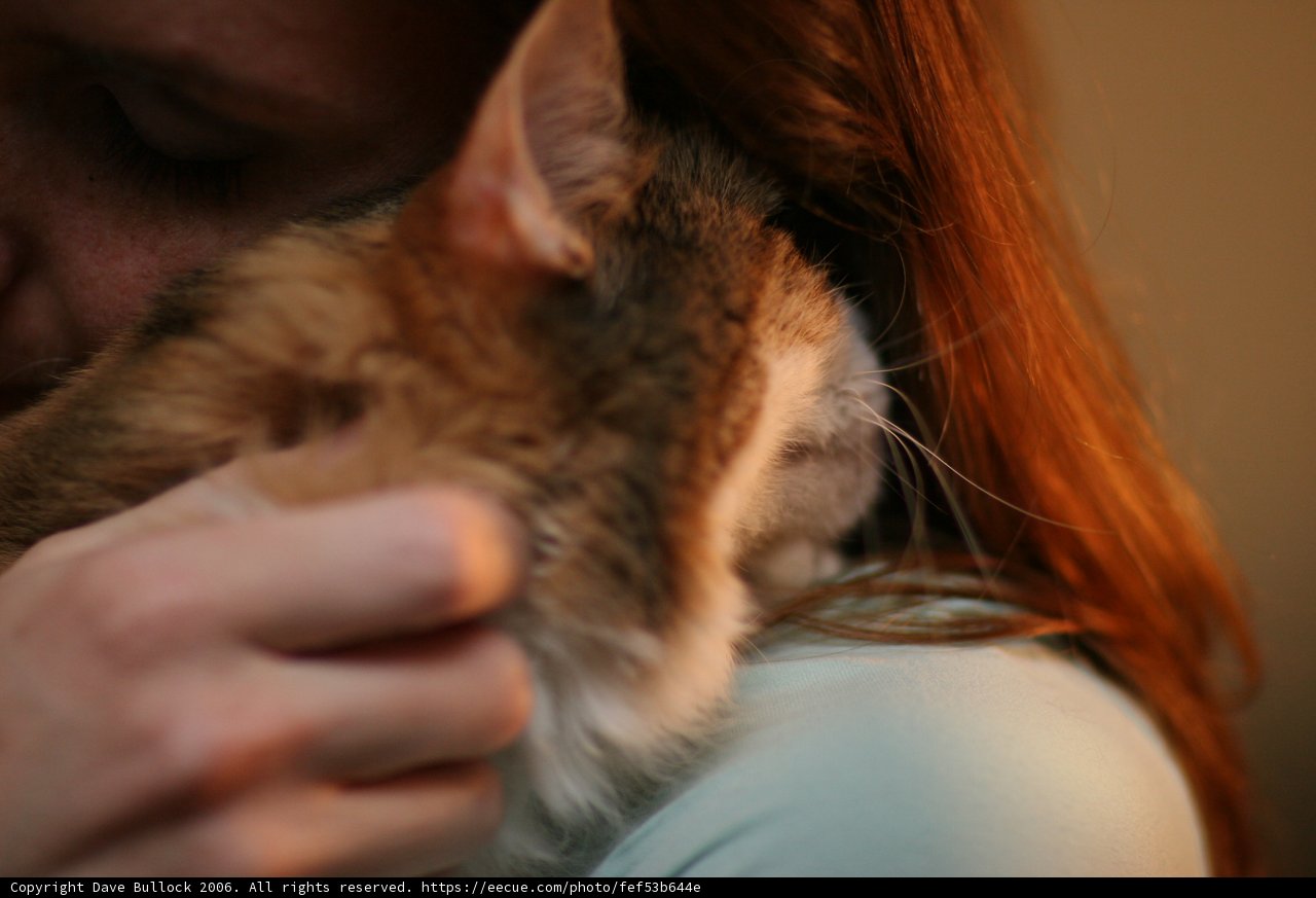 A Woman and Her Feline Companion