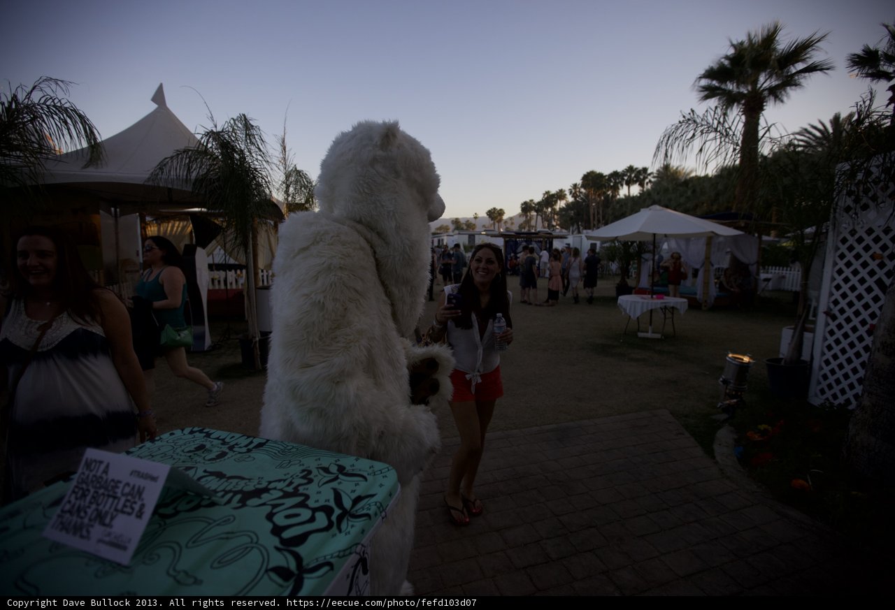 Dancing Bear at Coachella