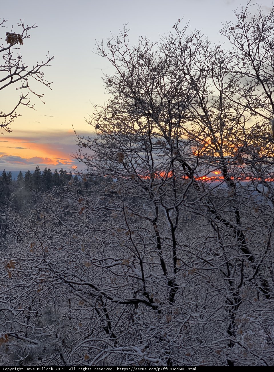 Winter's Last Glimpse