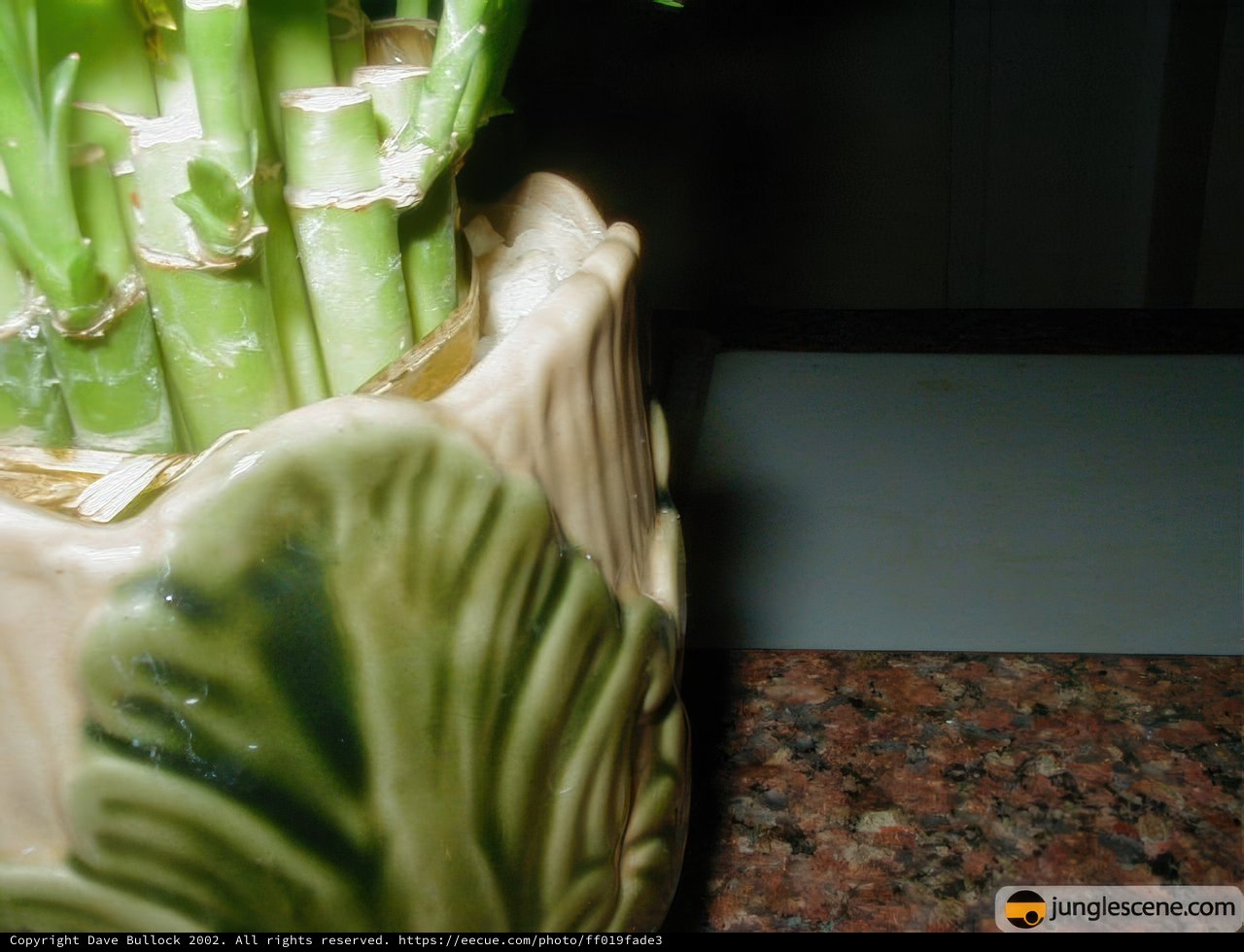 Green Stems in a Pottery Vase