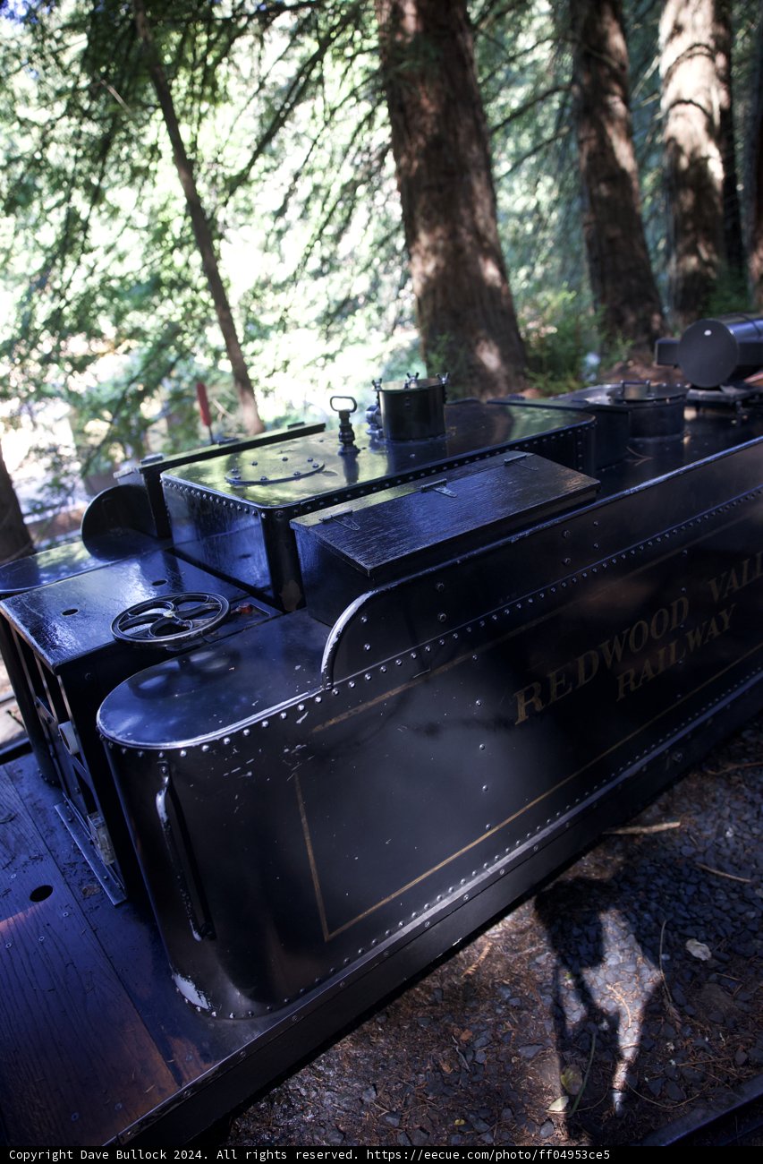 Journey Through the Giants: The Redwood Valley Railway