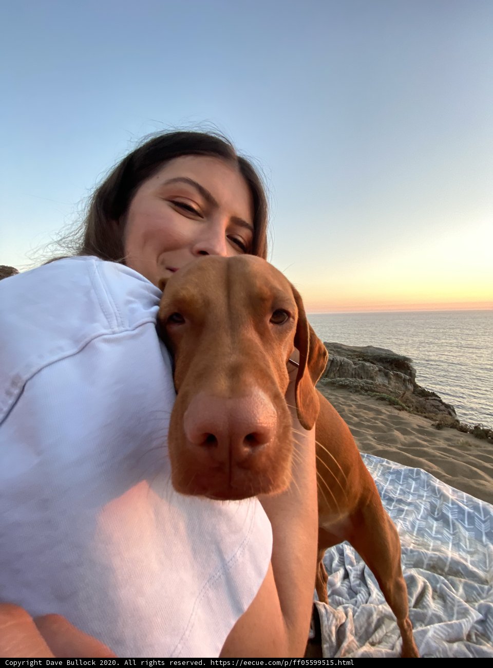 Coastal Cuddles