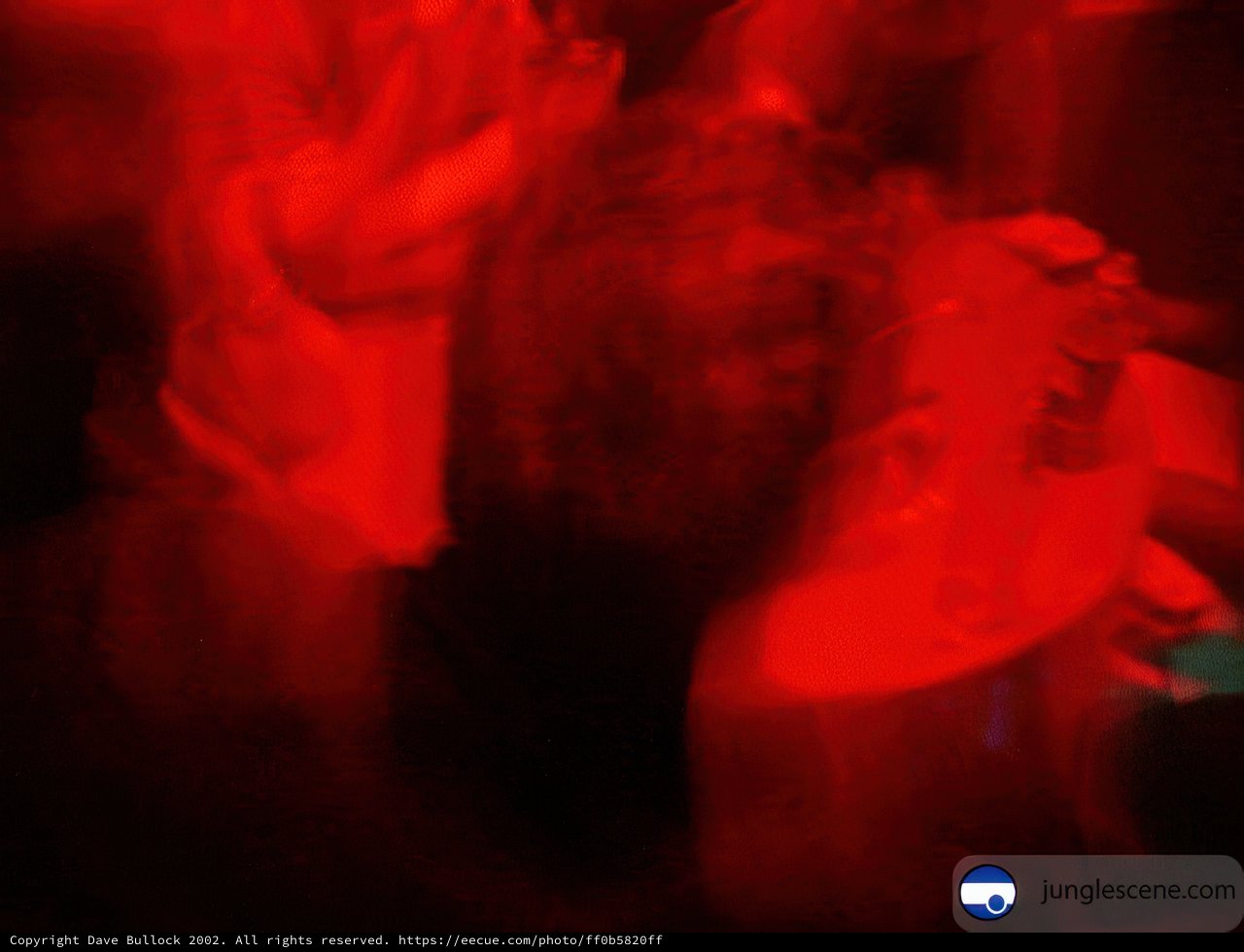 Disco Dancing at Bassrush 11 30 02