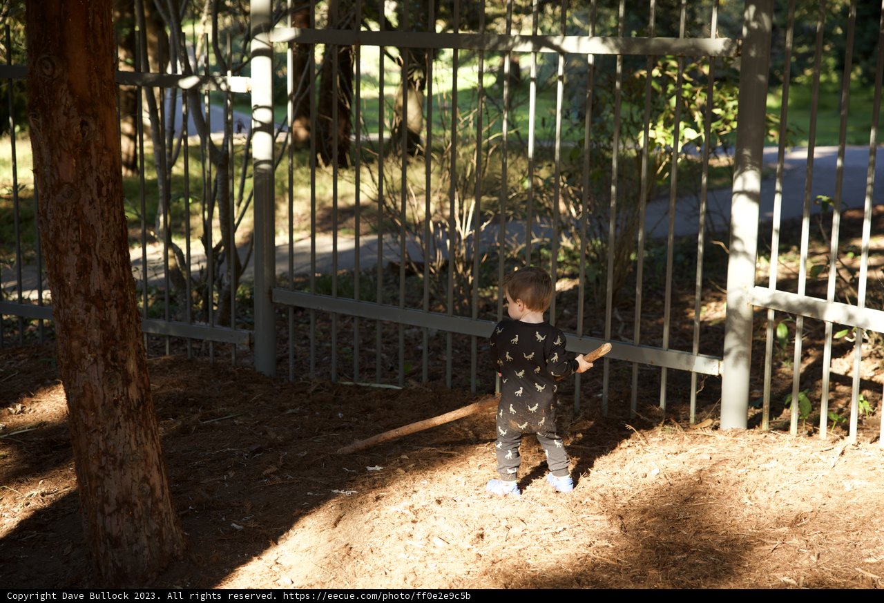 The Young Explorer of November Woods