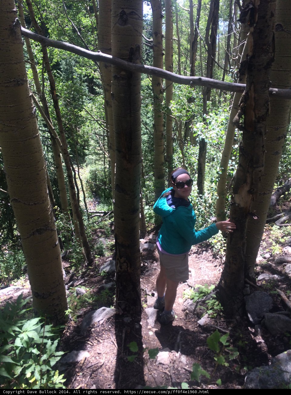 Through the Wilderness