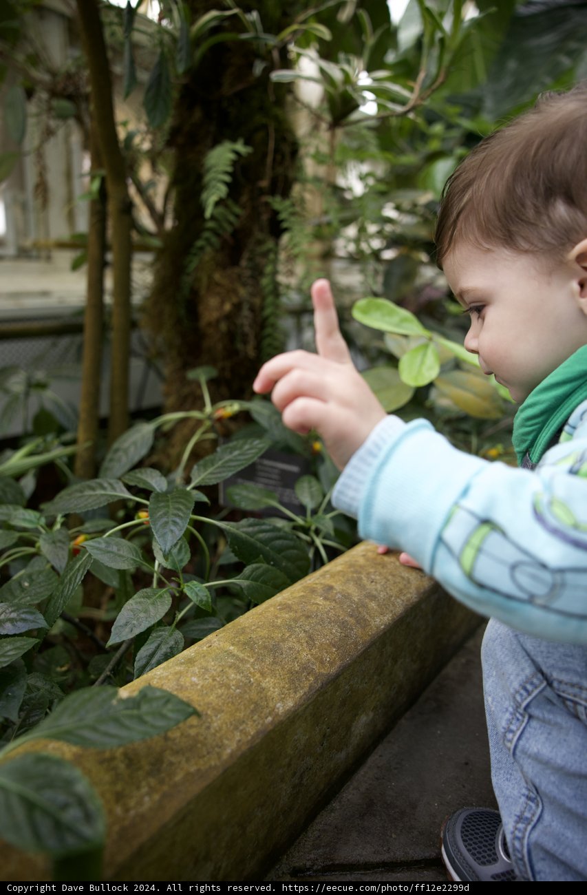 Touch of Nature: Exploration in the Gardens