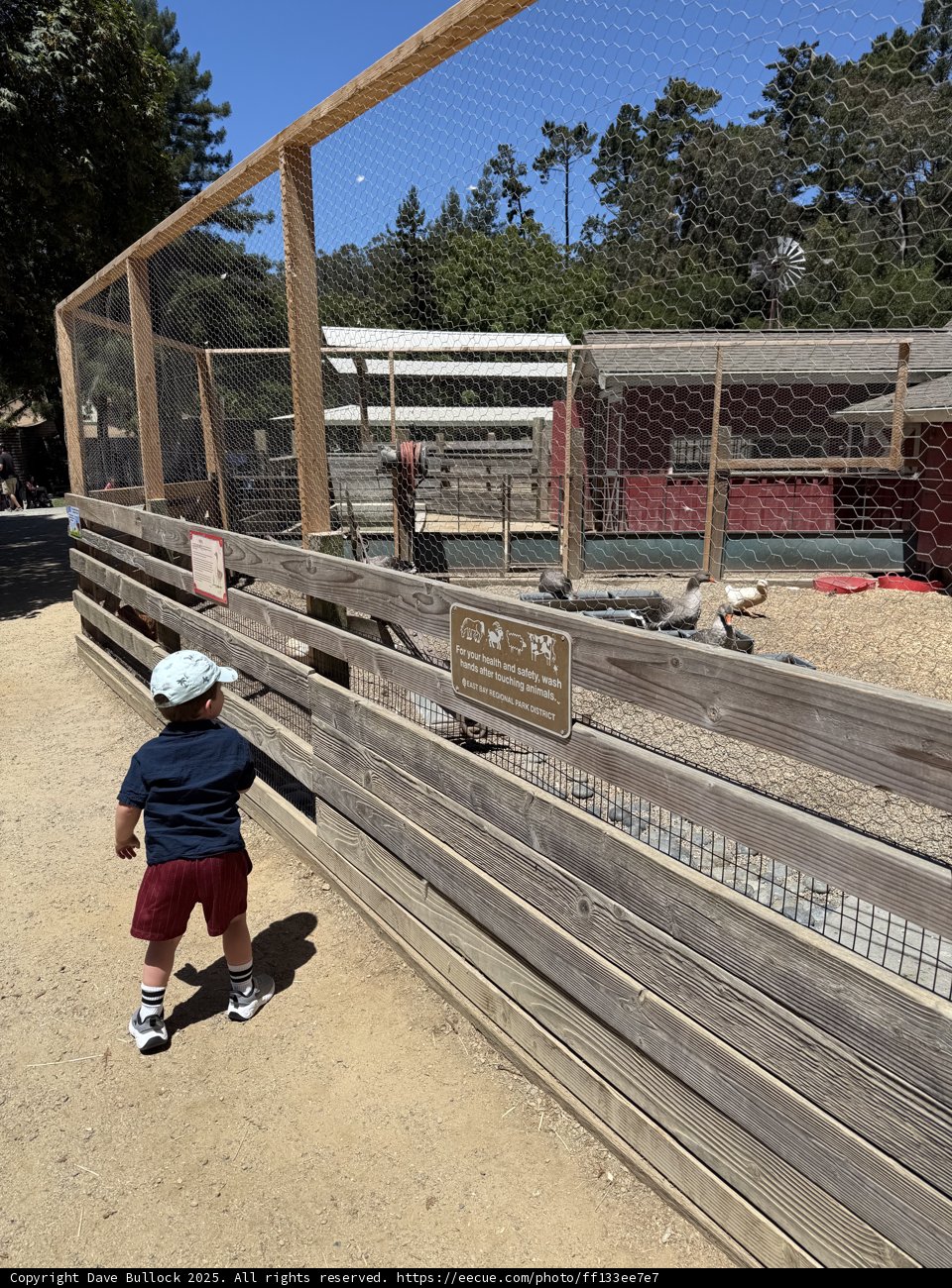 Curious Encounters at the Zoo