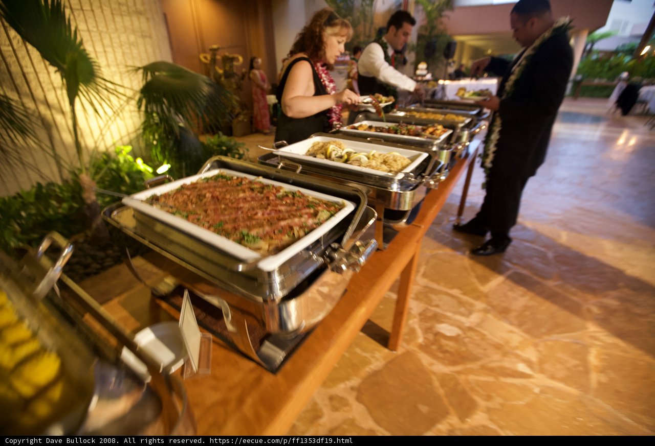 A Plentiful Spread at the Buffet