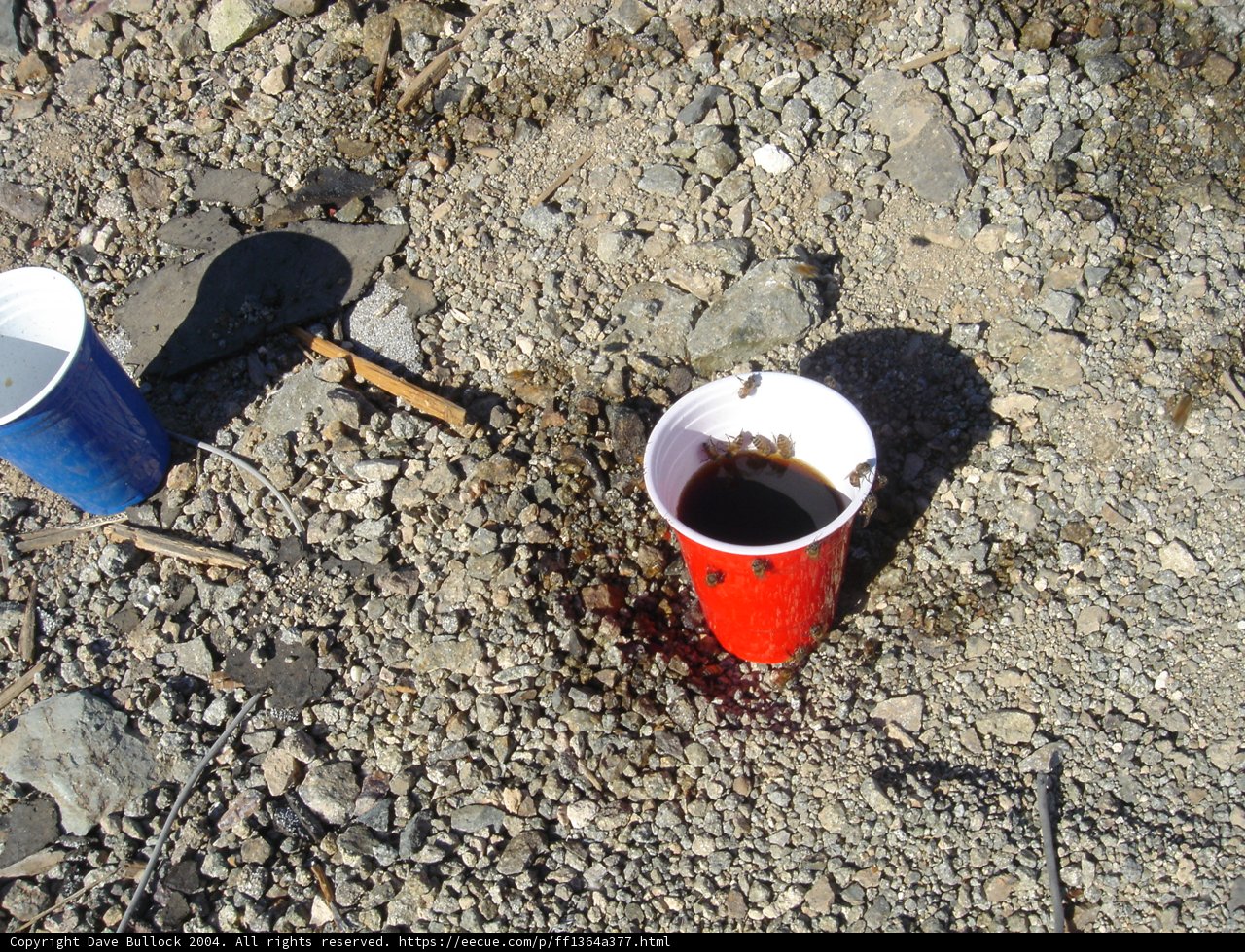 Red Cups and a Stick