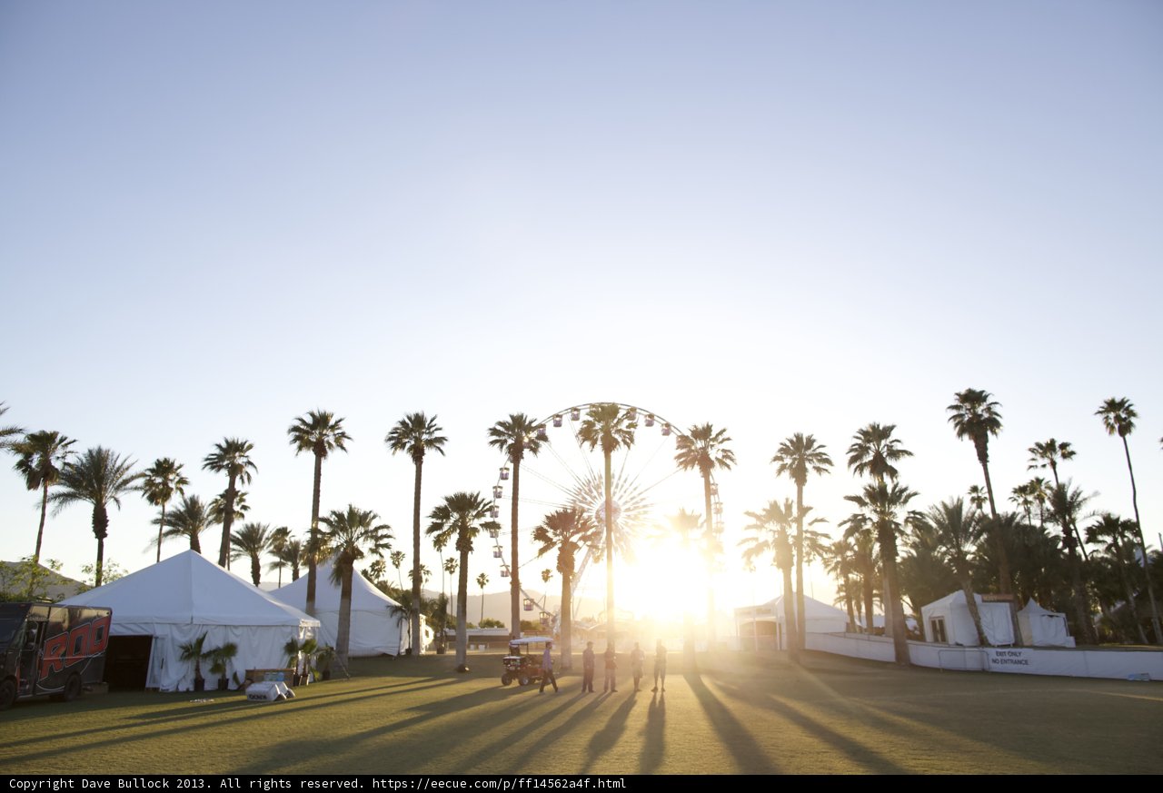 Sunset Oasis