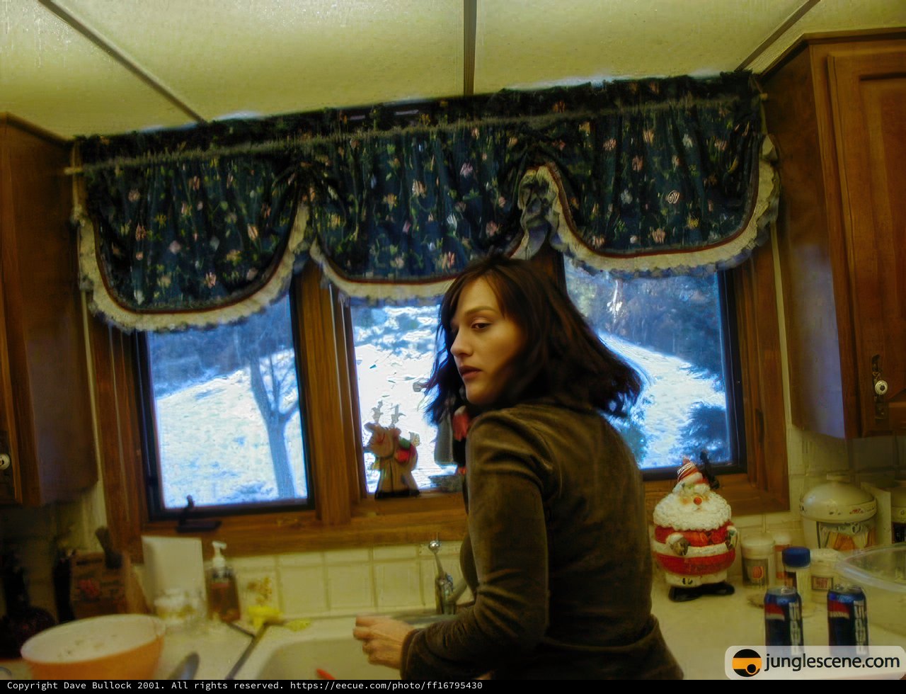 Festive Kitchen Scene