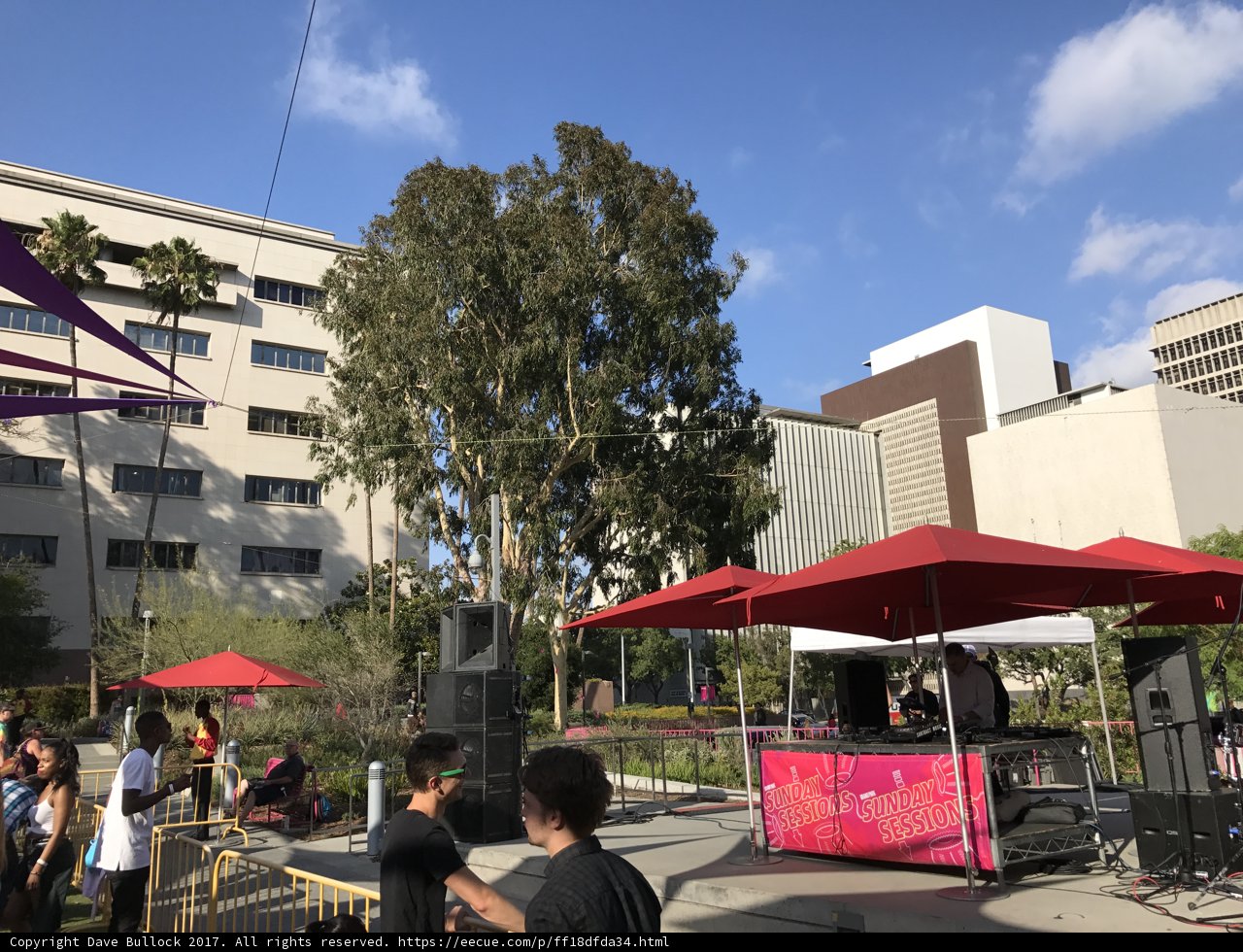 Shōgo Hamada and Friends Take the Stage in Grand Park