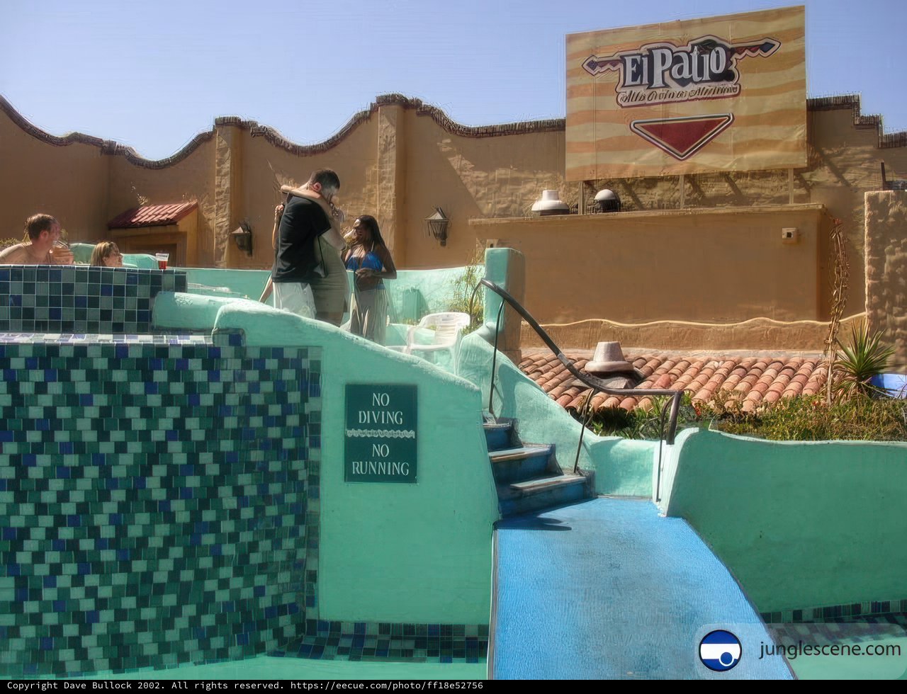 The Thrill of the Oasis Water Slide