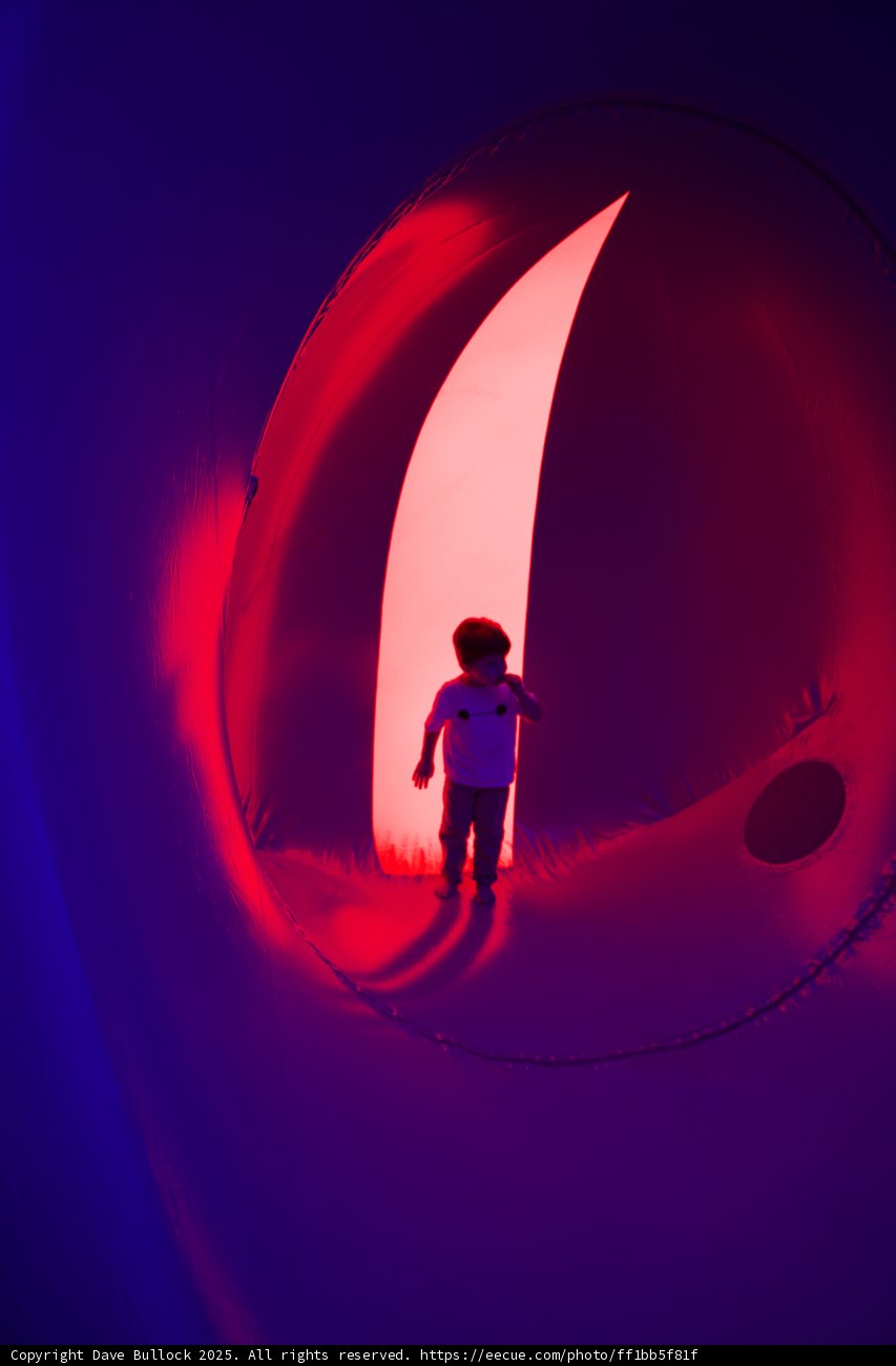 Cosmic Adventure in Light
