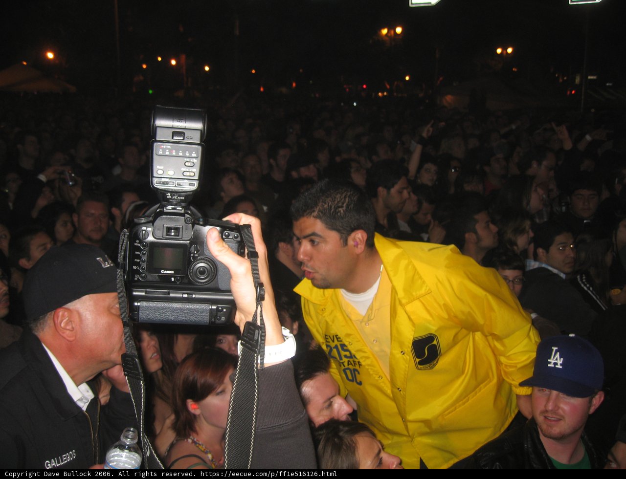 Capturing the Crowd