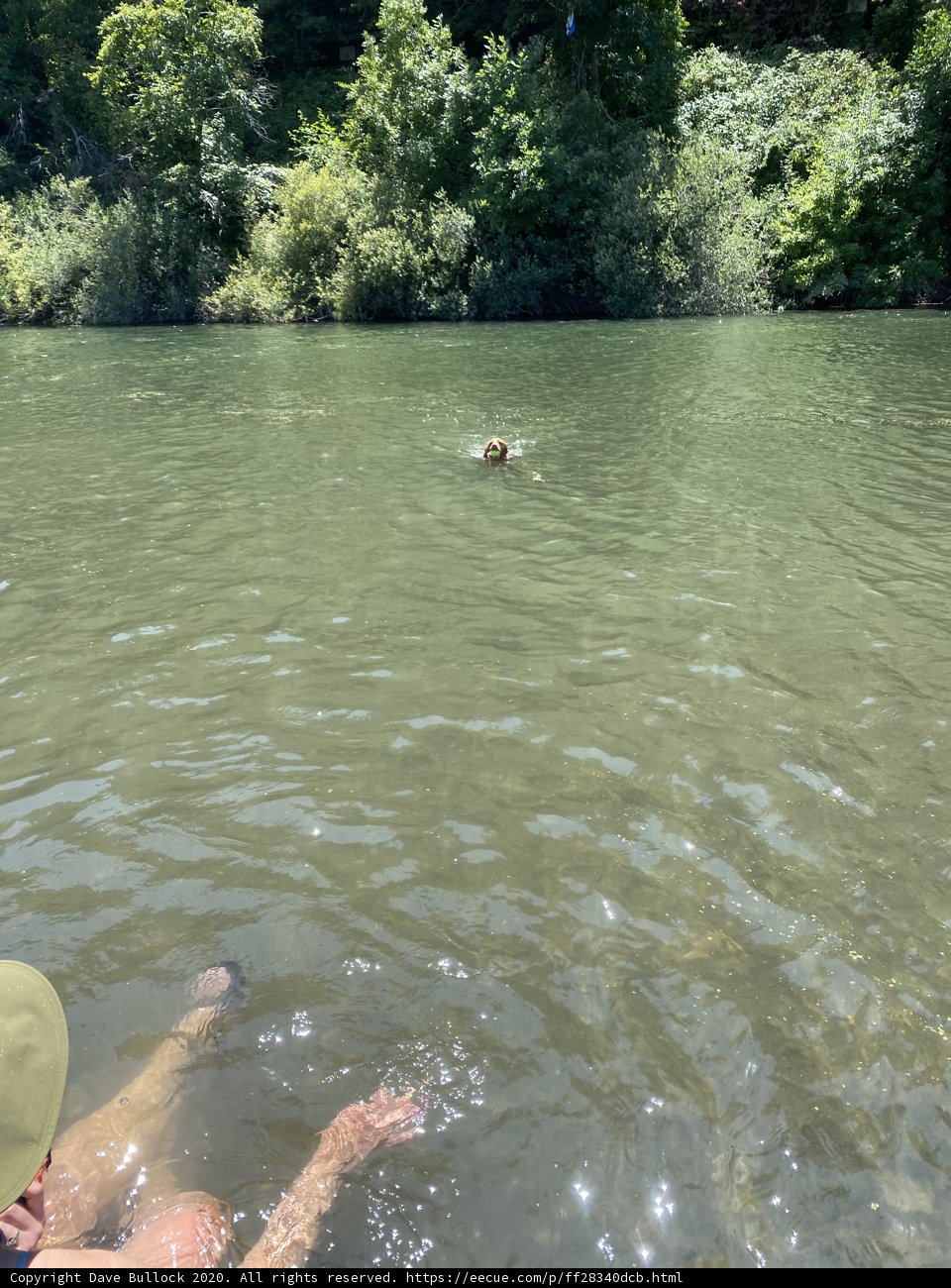 Serene Swim at Monte Rio