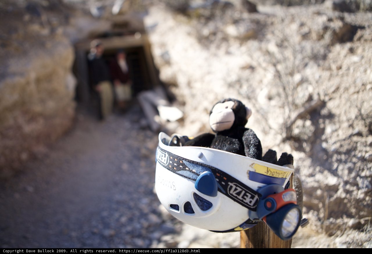 Monkeying Around on the Road