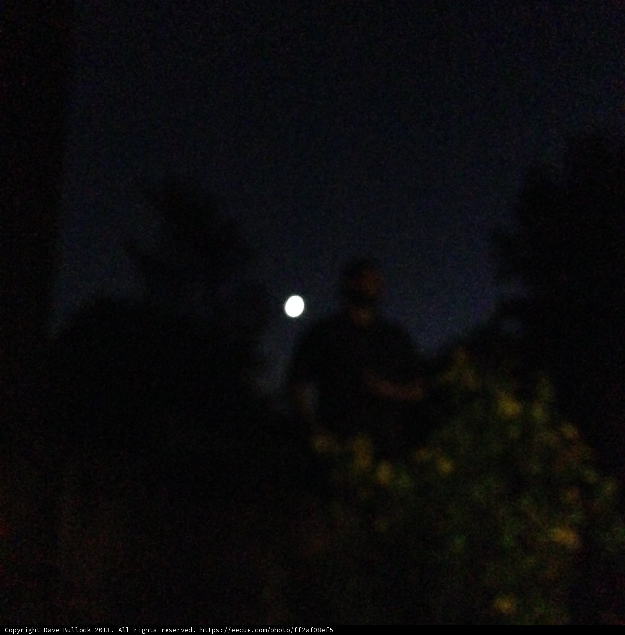Lunar Gaze