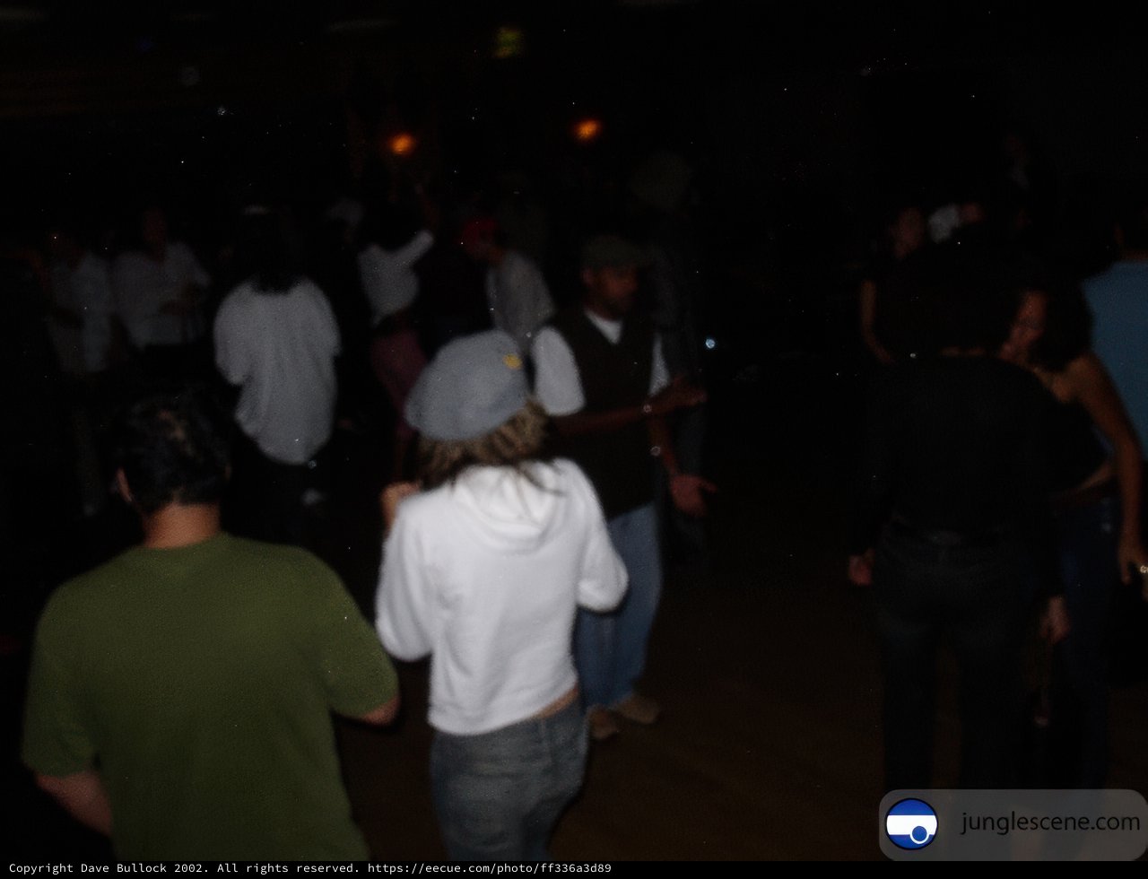Nightclub Gathering